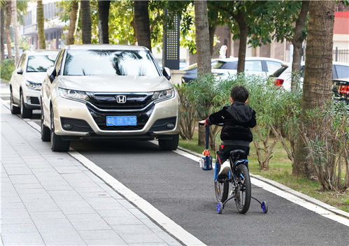我军现有多少辆汽车