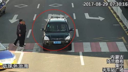 汽车违法有多少条