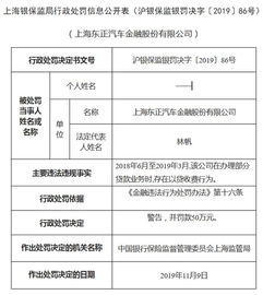 汽车金融贷款处罚多少